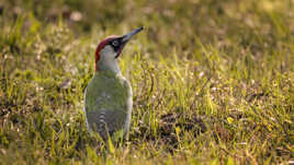 la limite du consentement