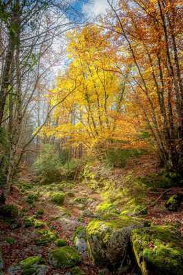 Lumière et couleurs automnales