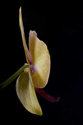 Mon meilleur profil !!