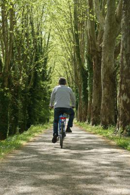 Promenade en velo