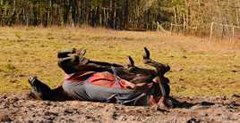 Les vacances c'est le pied!