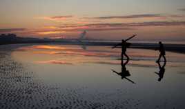 Retour de pêche à la crevette