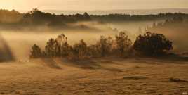 L'Aubrac au petit matin