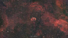 NGC 6888 - La nébuleuse du croissant