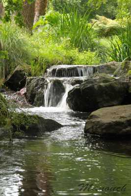 au fil de l'eau