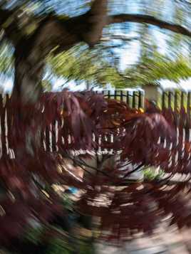 où est la sortie ??