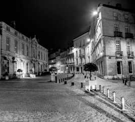 Pas un chat dehors ou presque