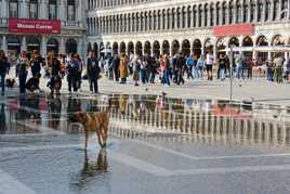 Reflets Place Saint Marc 2