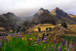 Paysage d'Equateur