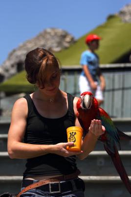 Lui et moi c'est une histoire d'amour