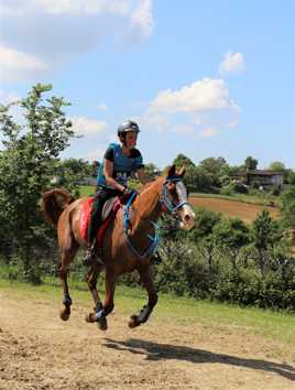 LE BONHEUR EN SUSPENSION