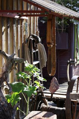 Cabane de pêcheur