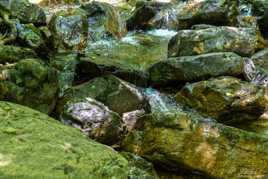 Vallée du Ninglinspo.