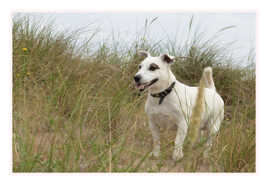 Débordant d'énergie