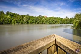 Un long fleuve tranquille