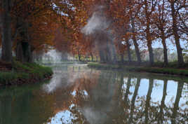 Automne sur le Canal du Midi