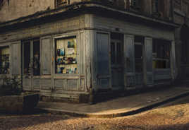 librairie en survie