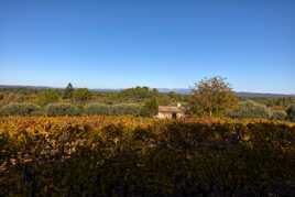 Cabanon de Provence