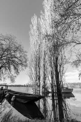 Crue de la Vienne