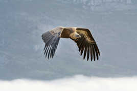 Ensemble au dessus des nuages.