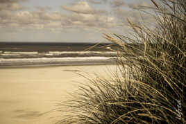 Ameland plage - Pays-Bas