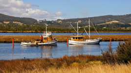 Bateaux de pêche sur la rivière Huon 2