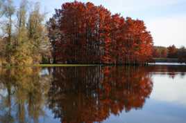 Reflets d automne v2