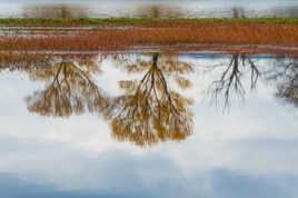 Je pousse a l'envers
