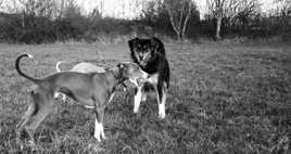 Mais tu vas me la rendre!!