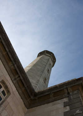 phare des baleines