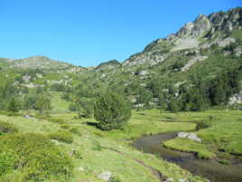 UN PETIT COIN D'ARIEGE