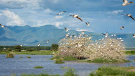 Dernier rassemblement avant les électoins.