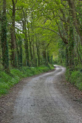 route de campagne..