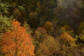 Palette de couleurs automnales