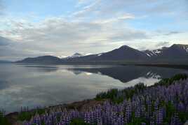 Reflets d'Islande