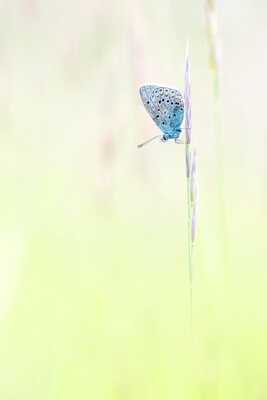 Minimalisme printanier