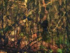 de l'art dans le reflet