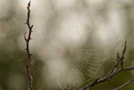 Lumière sur la toile.