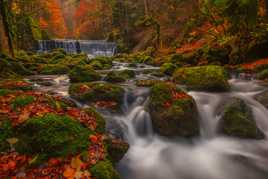 Les couleurs de l'automne