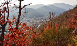 Couleurs hivernales..