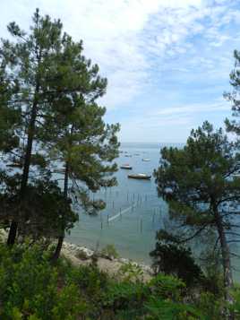 BASSIN D'ARCACHON