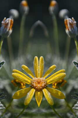 Un petit matin frisquet.