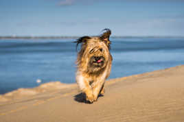 On the beach