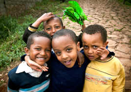 Du khat à Addis Abeba