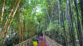 Jardin de Majorelle