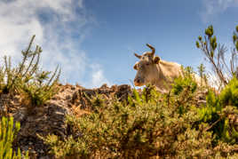 rencontre en montagne