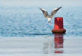 L'ombre d'elle même