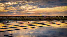 Marais salants de Noirmoutier
