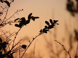 Porter plus loin le regard.