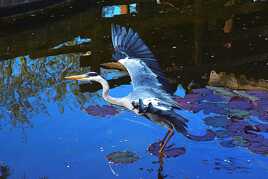 Faire vibrer les couleurs !